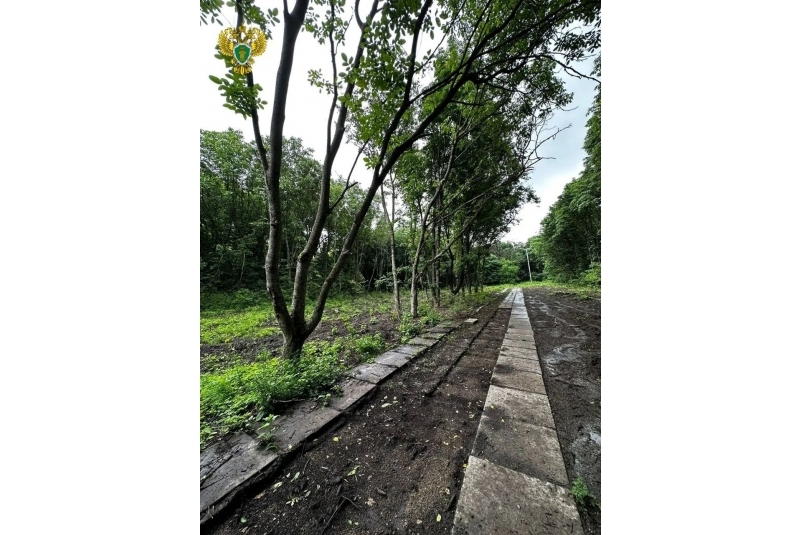 Застройщик выплатит 3,9 млн рублей за незаконную вырубку деревьев на Ставрополье Пресс-служба прокуратуры Ставрополья