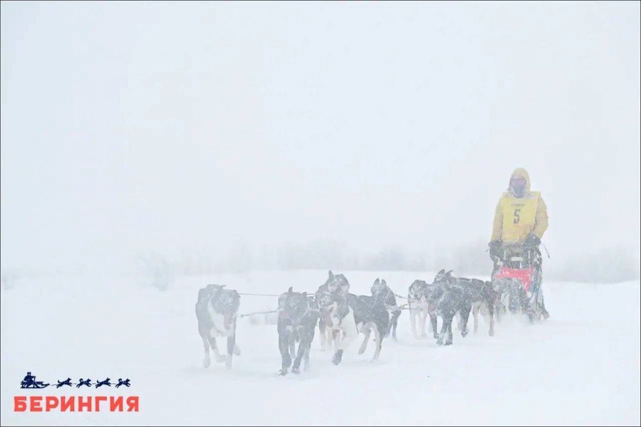 Оргкомитет гонки