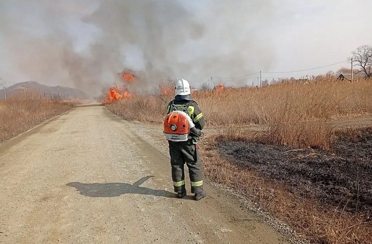 Восемь природных пожаров площадью 109 га потушили за сутки в Приморье пресс-служба МинГОЧС Приморья