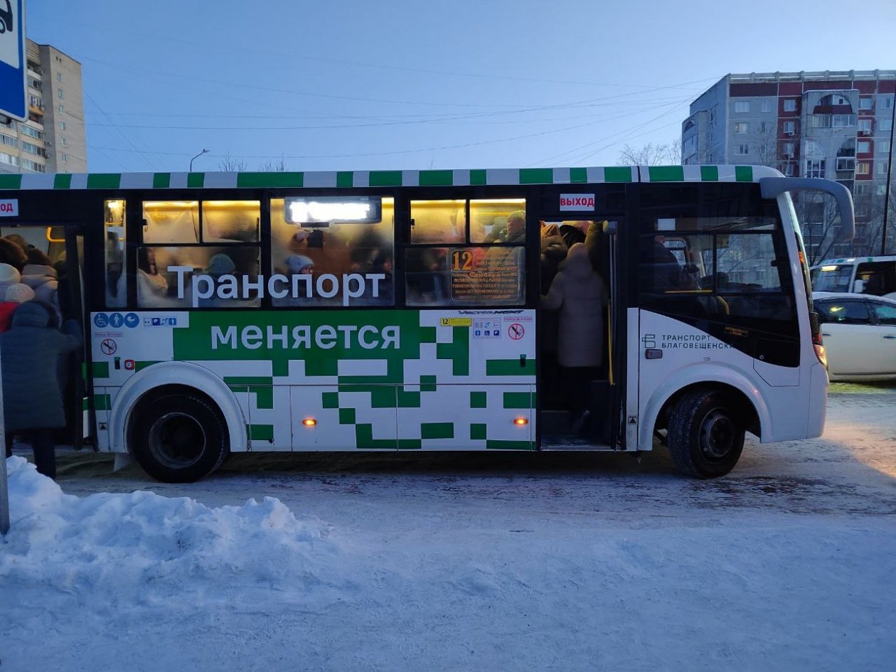 Автобусные павильоны выполнят в едином городском стиле Юлия Ожегова, ИА PriamurMedia