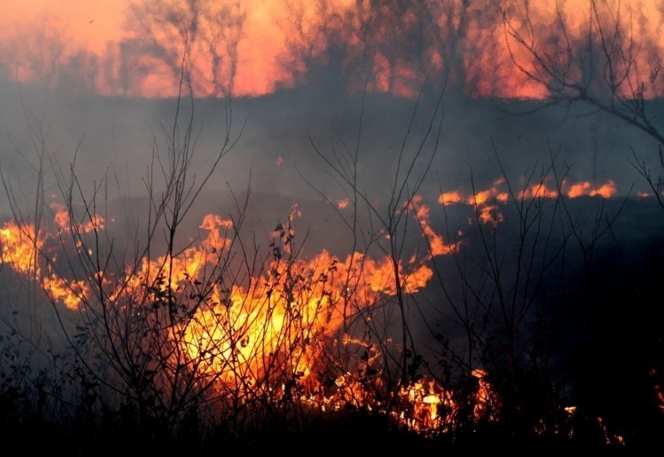 Тематическое фото pxhere.com