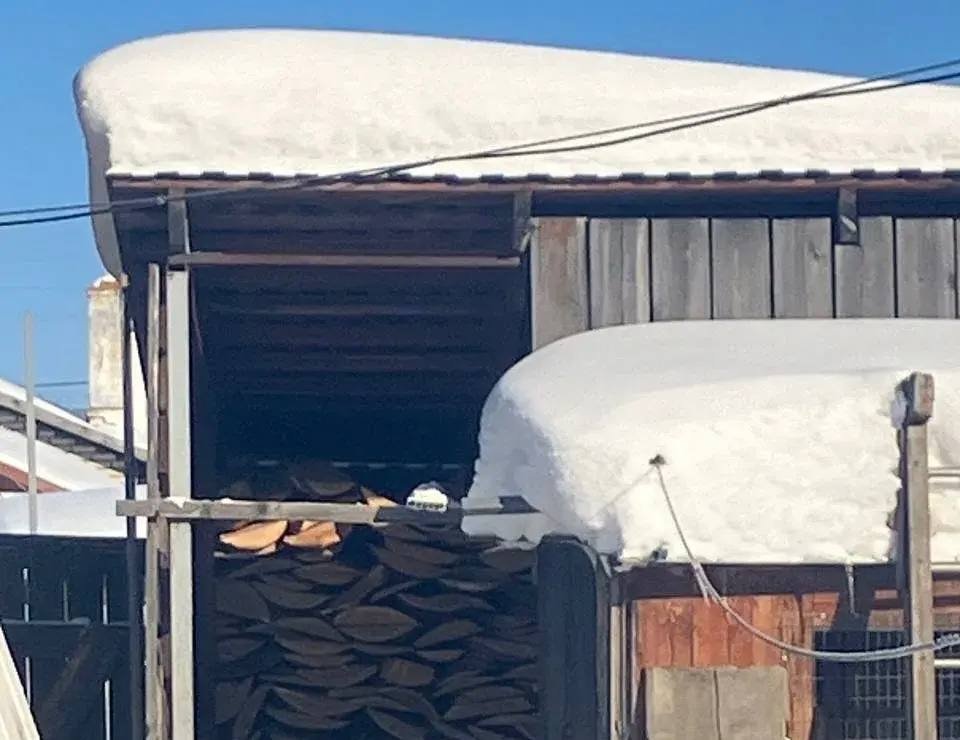 В Хабаровском крае учителям вернули деньги за дрова после вмешательства прокуратуры Прокуратура Хабаровского края