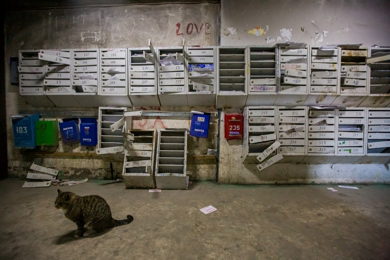 Тематическое фото ИА PrimaMedia