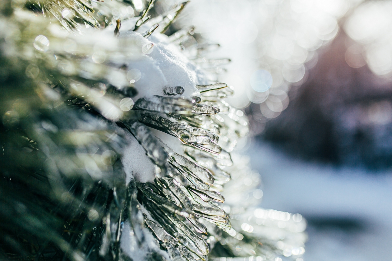 Тематическое фото Мария Смитюк, ИА PrimaMedia