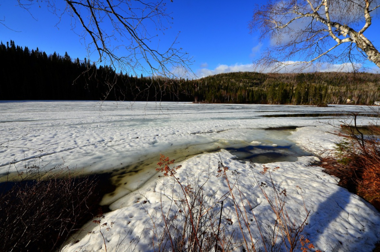 Тематическое фото Сайт pxhere.com