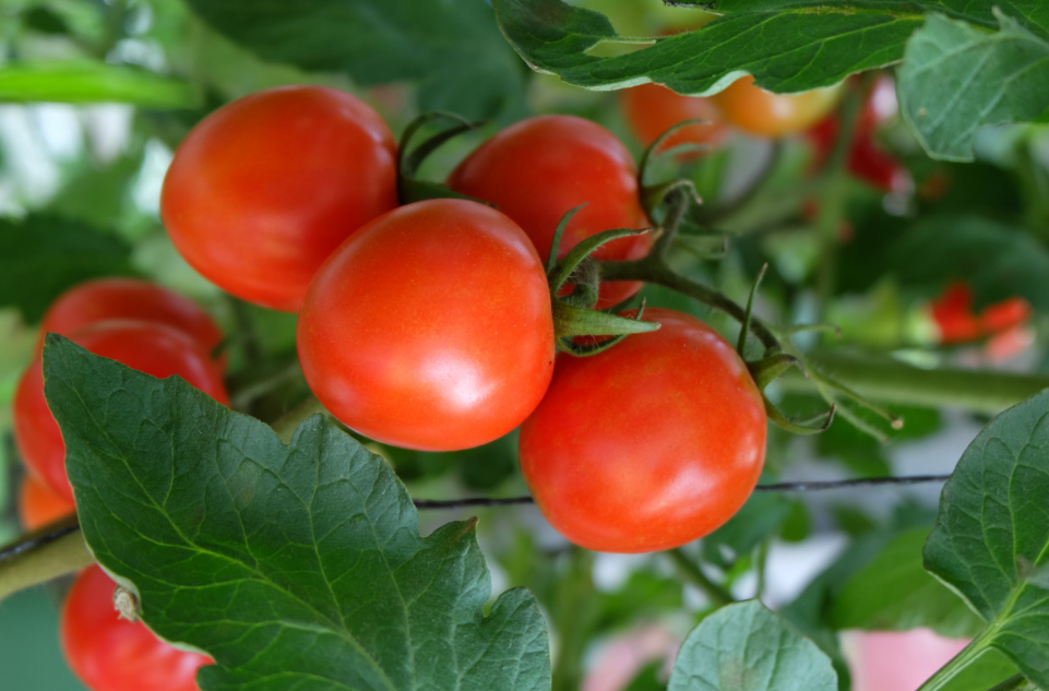 Тематическое фото pxhere (18+)