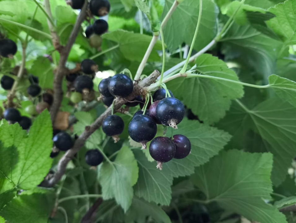 Тематическое фото unsplash (18+)