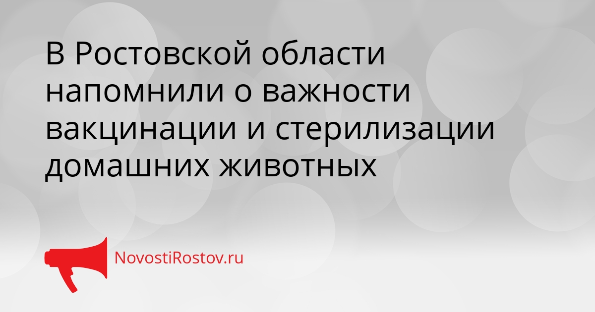 В Ростовской области напомнили о важности вакцинации и стерилизации домашних животных Сгенерировано