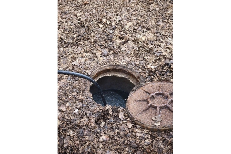 соцсети Владимира Крутникова