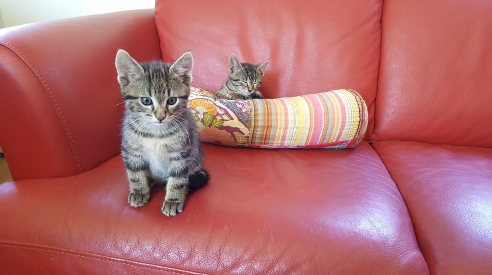 Тематическое фото pxhere.com