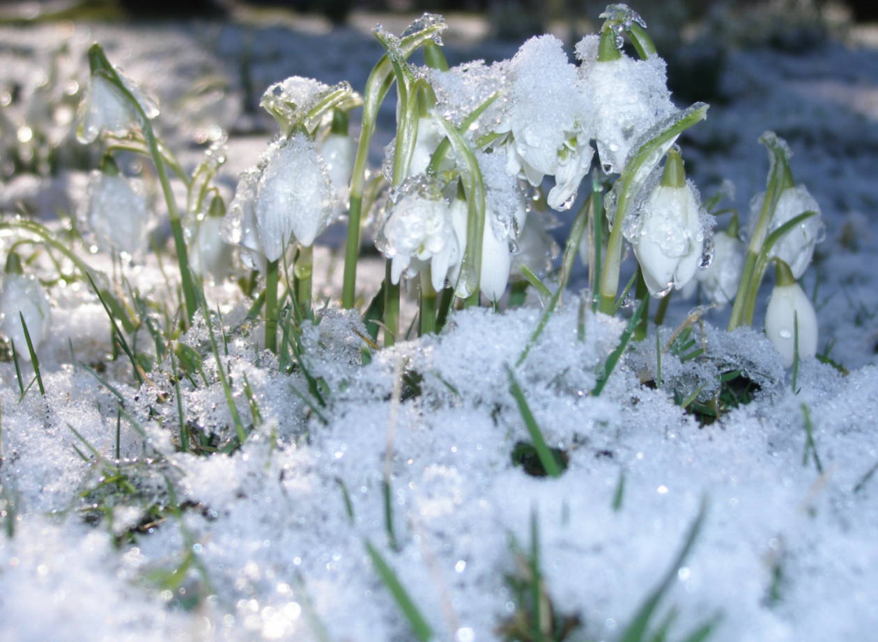 Тематическое фото Сайт pxhere.com