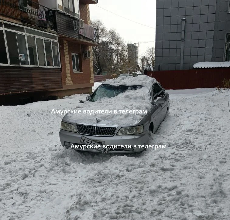 телеграм-канал 