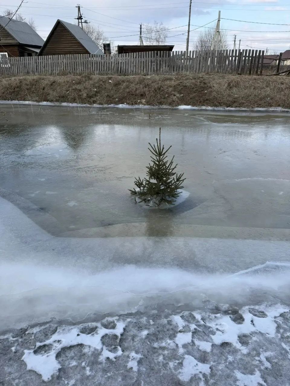 Вода возле дороги поднялась на 30 см из-за перемерзания трубы в Ленинском округе Иркутска Администрация города