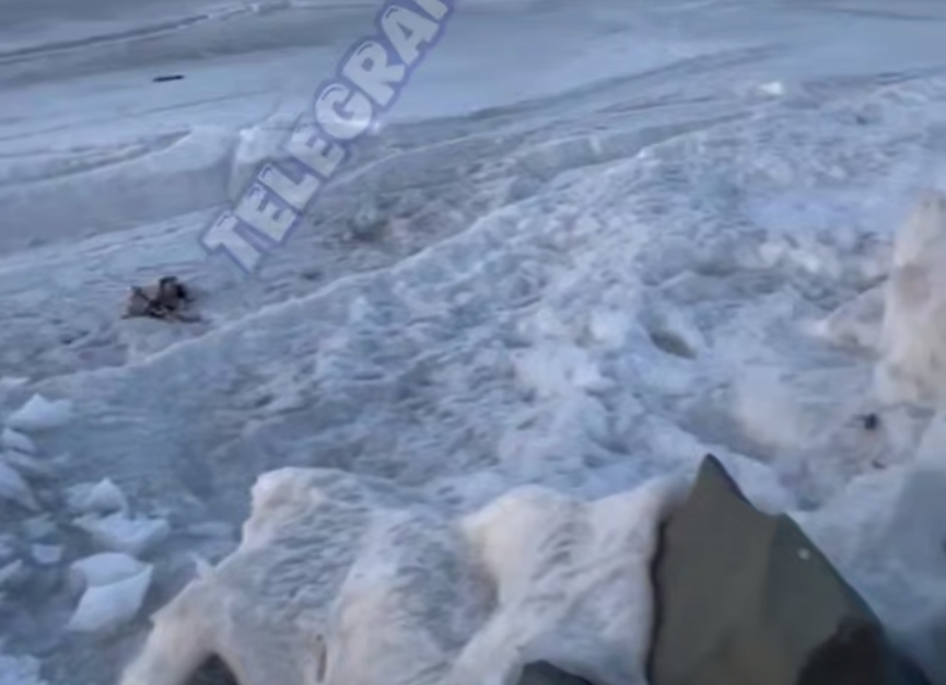 Tg-канал «svodka25» (18+)