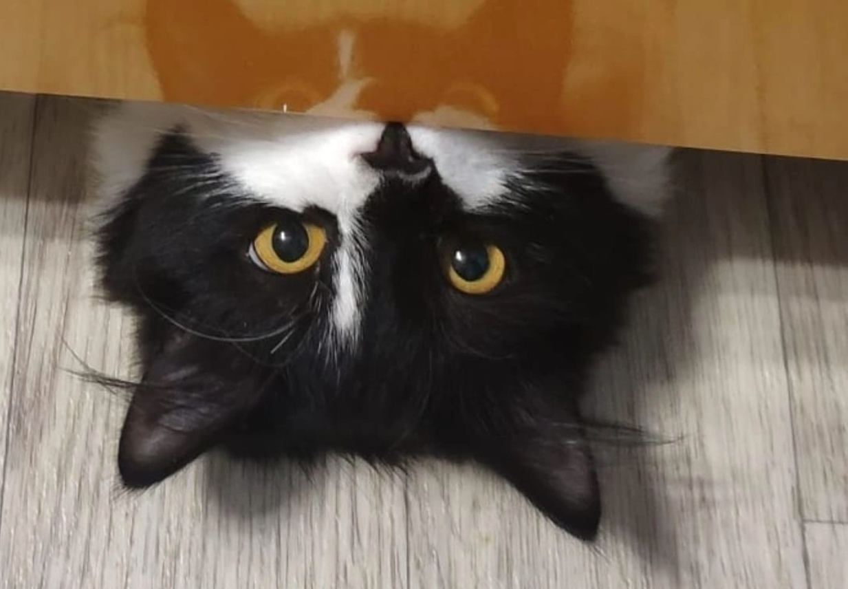 Тематическое фото ИА PriamurMedia, Елена Гиневская