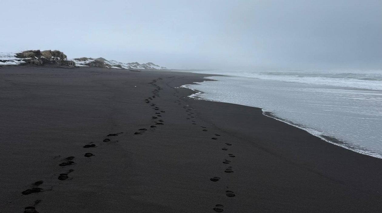 Тематическое фото https://t.me/sakh_soul