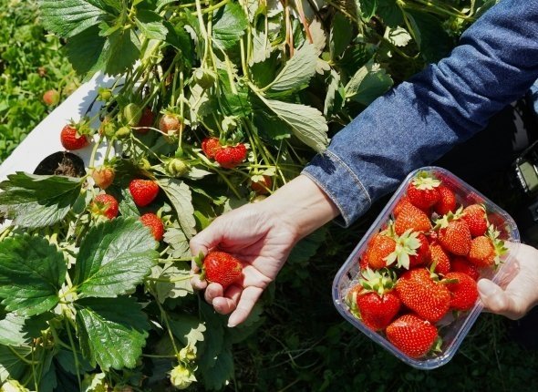 Тематическое фото unsplash.com