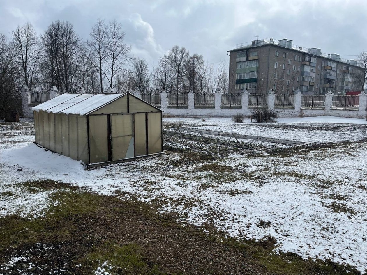 Огород и теплица Артем Дубенчук