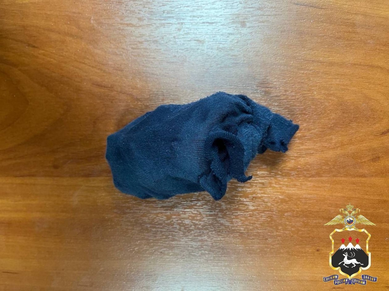 Запрещёнку задержанный хранил в носках пресс-служба Полиции Камчатки