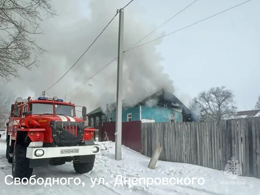 ГУ МЧС России по Амурской области