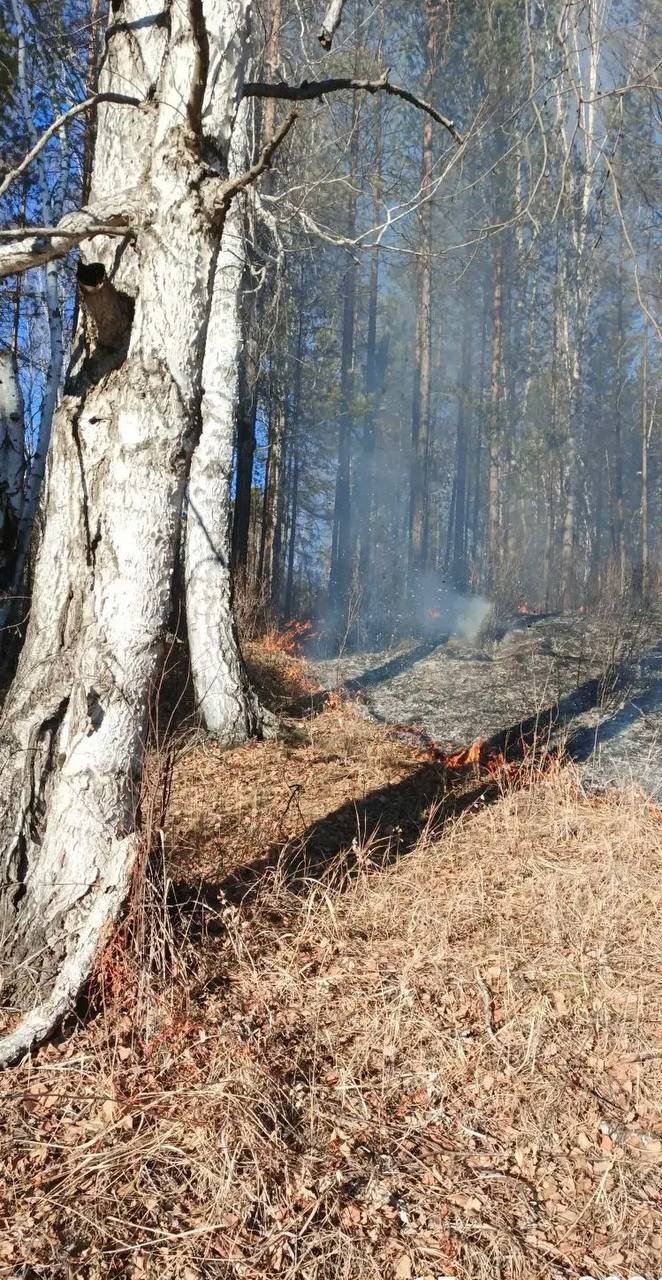 Пожар тг-канал (18+) Минлеса Забайкалья