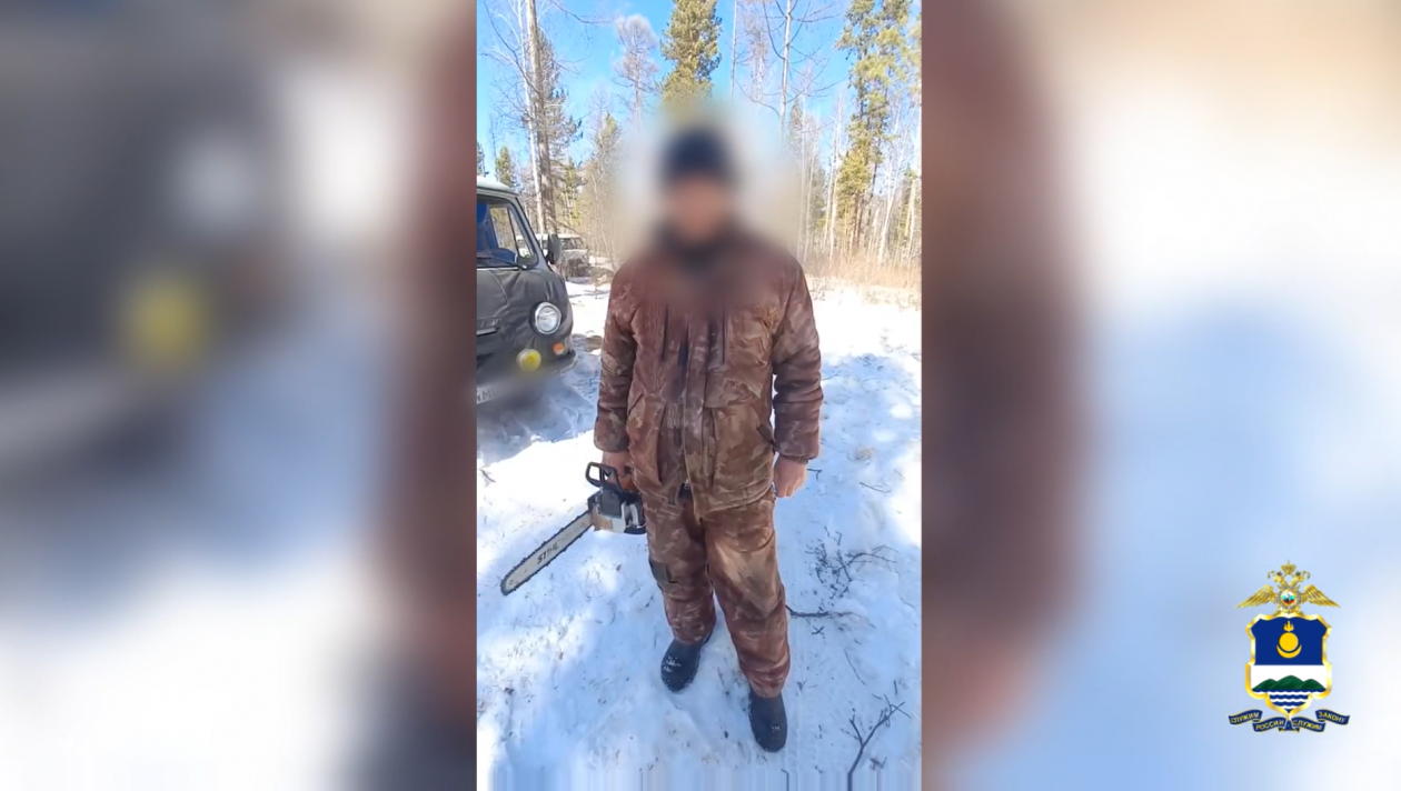 У &quotчерного лесоруба&quot в Бурятии изъяли автомобиль, бензопилу и завели дело МВД по Бурятии