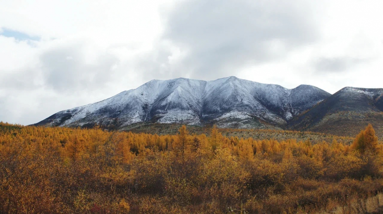 Колымчан приглашают к участию в конкурсе рисунков &quotМир глазами геолога&quot Источник
