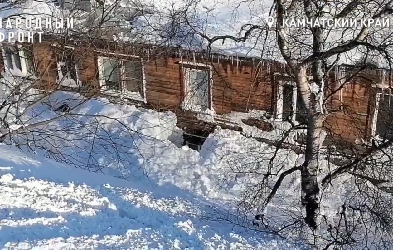 Народный фронт. Камчатка / скрин видео