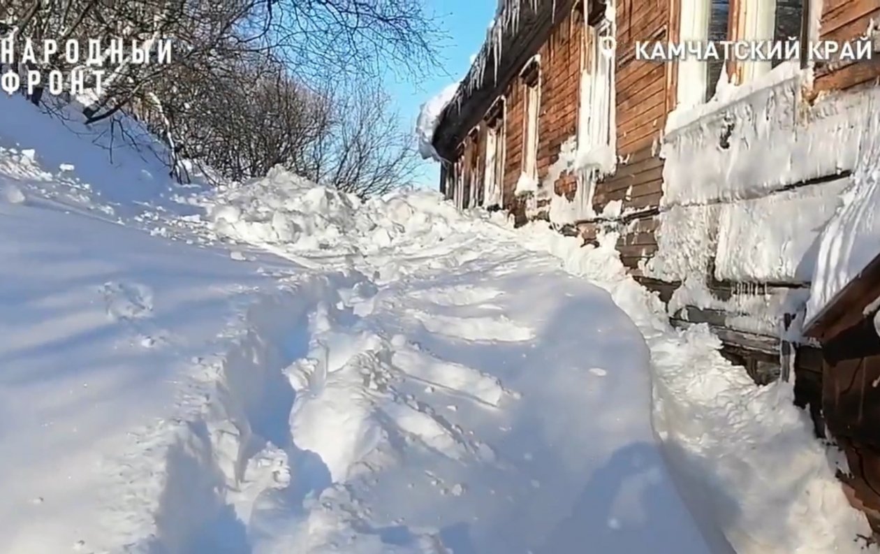 Народный фронт. Камчатка / скрин видео