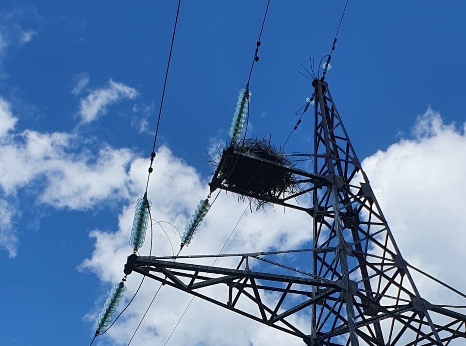 Тематическое фото ДРСК ЕАО