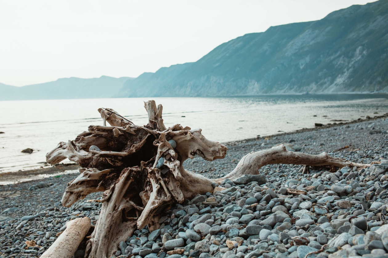 Нарушителей в сфере экологии смогут привлекать к ответственности по видеофиксации Источник