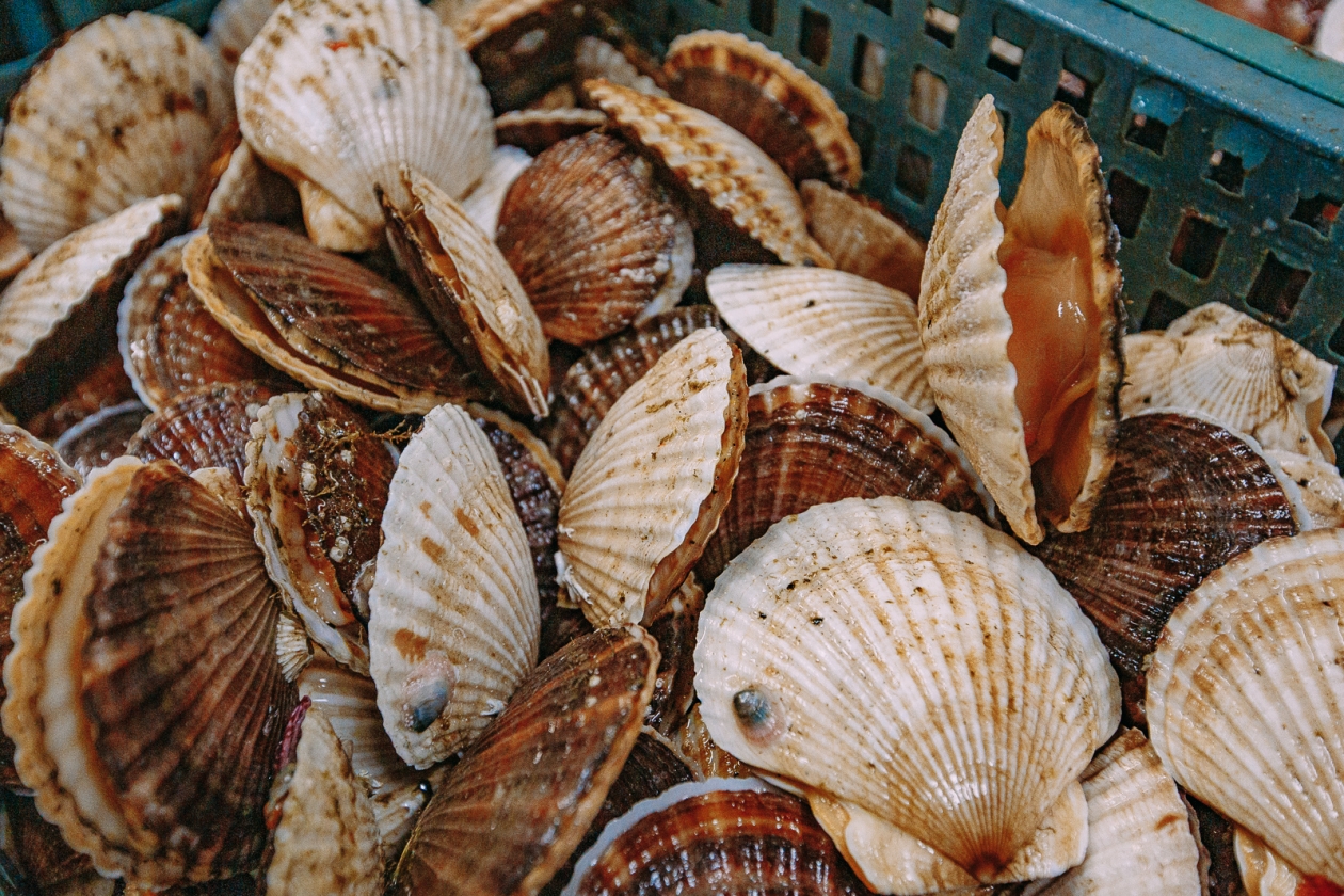 Тематическое фото Мария Смитюк, ИА PrimaMedia