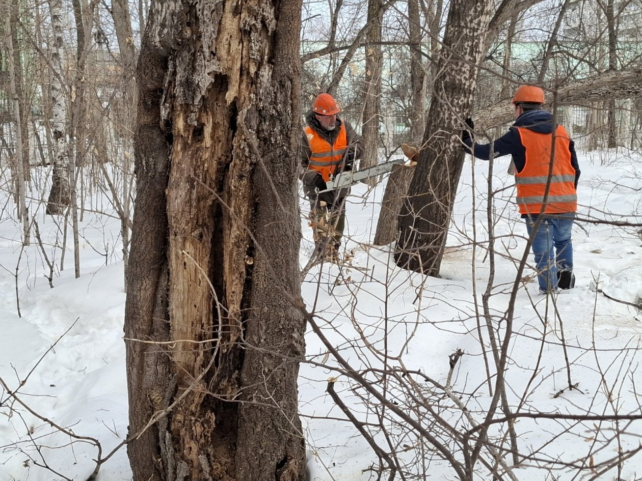Началось масштабное благоустройство одного из старейших парков Комсомольска-на-Амуре Пресс-служба администрации Комсомольска-на-Амуре