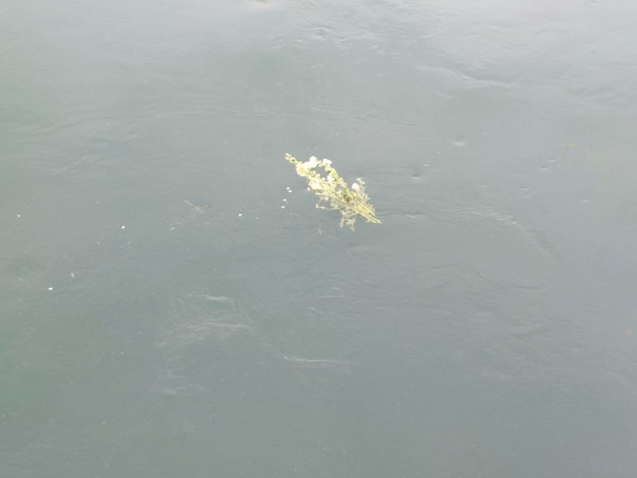 Тело малолетнего ребенка нашли пойме р. Кура на Ставрополье ИА Stavropol.Media