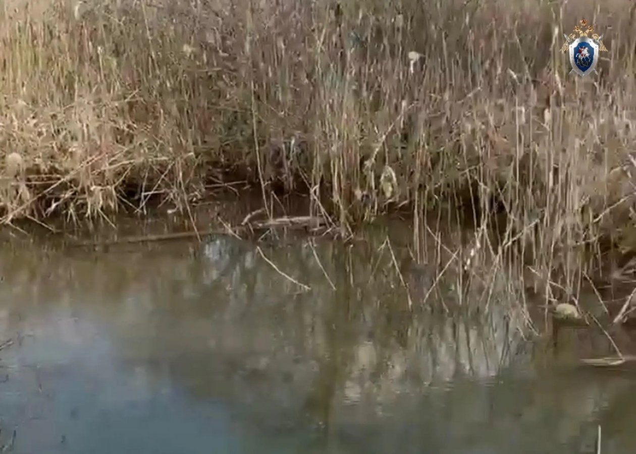 Обстоятельства гибели в пойме реки Кура 4-летнего мальчика выясняют следователи на Ставрополье СУ СК Ставрополья