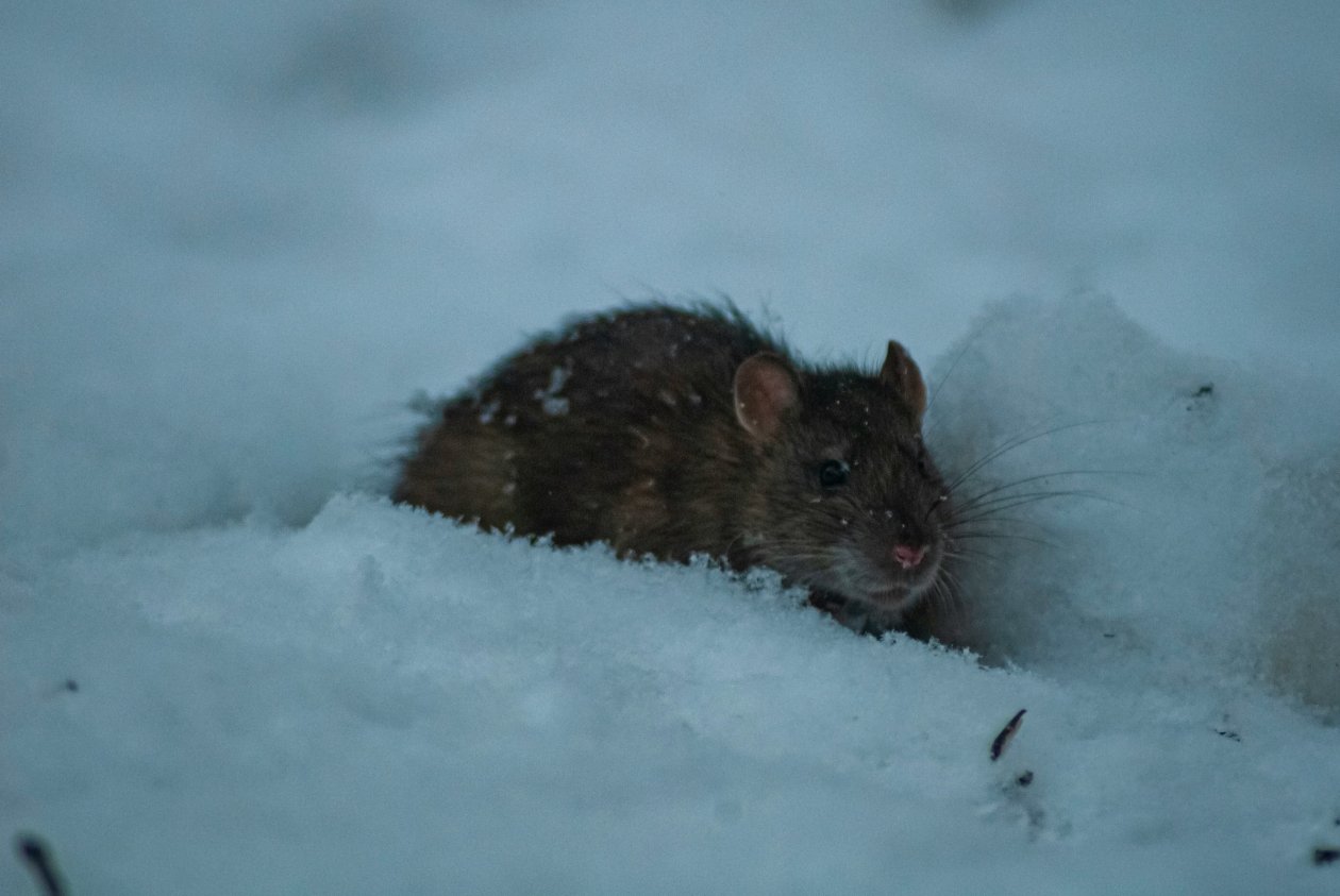 Тематическое фото unsplash.com