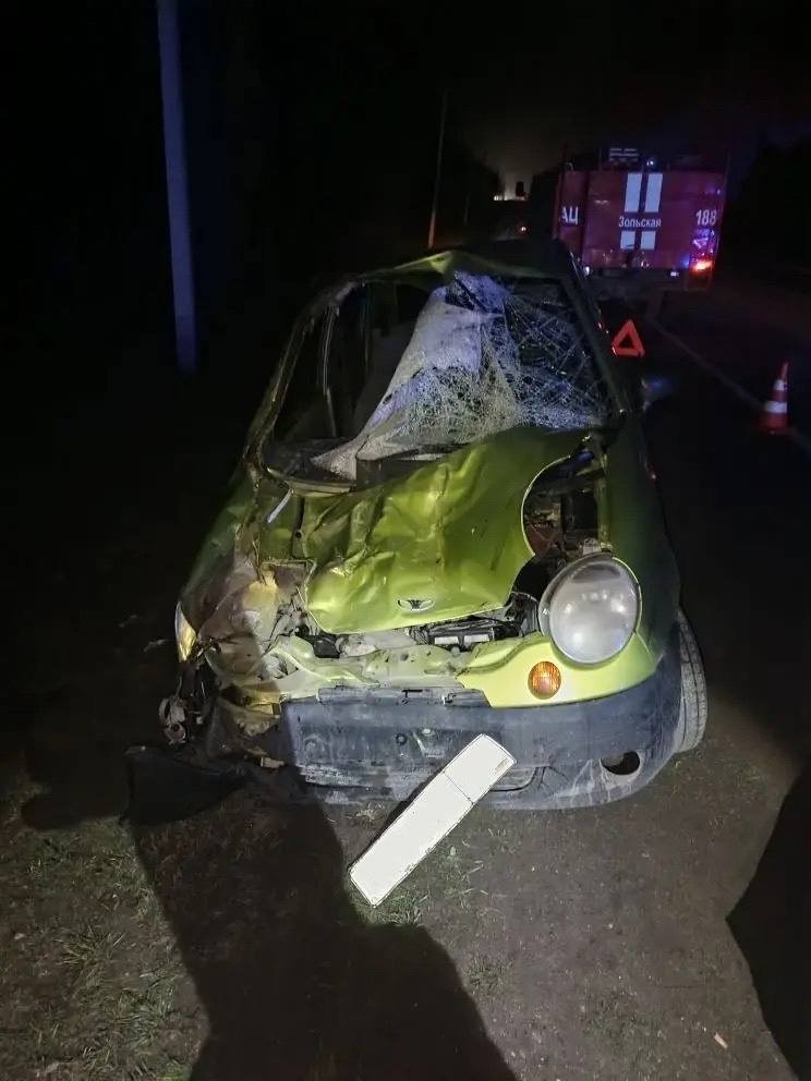 Лошадь пробила лобовое стекло машины в ДТП на Ставрополье, есть пострадавшая пресс-служба ПАСС СК