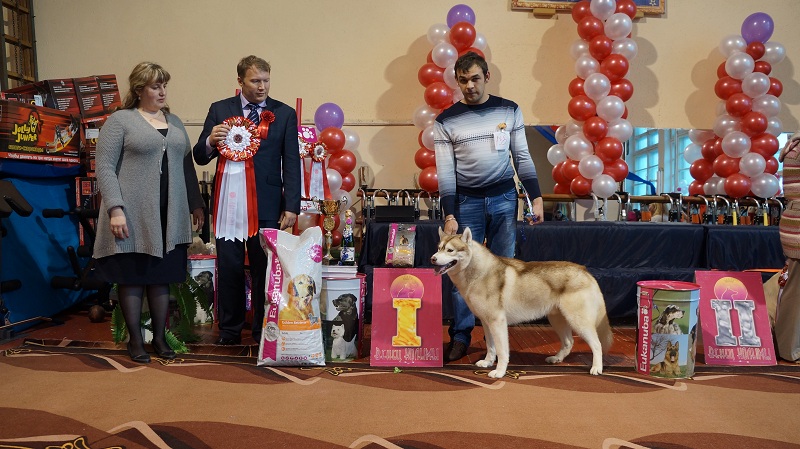 Награждение победителя выставки, Фото с места события собственное