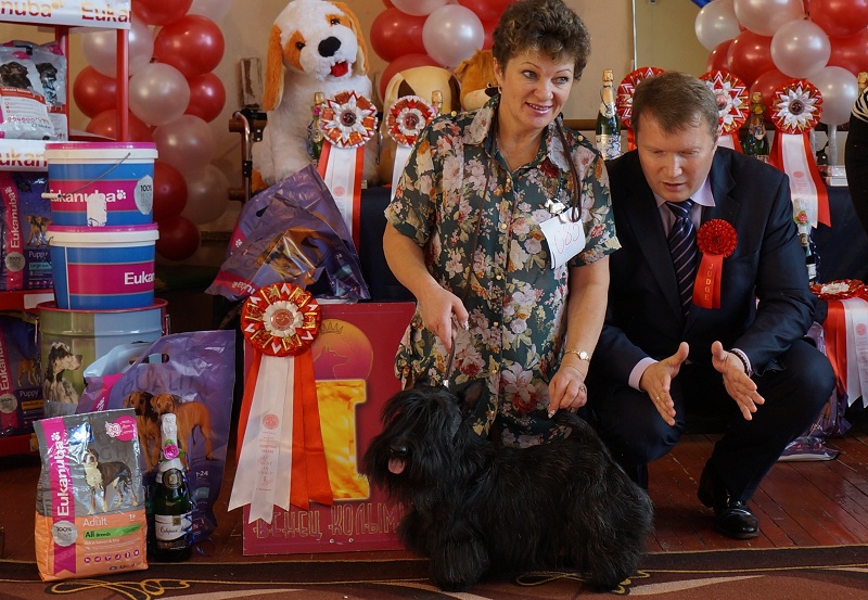 Эксперт дает рекомендации владелице победителя класса, Фото с места события собственное