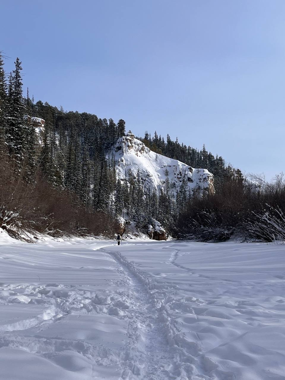 Гороскоп на 17 марта: Близнецы избегают лишнего шума, Козерог сконцентрирован ИА YakutiaMedia