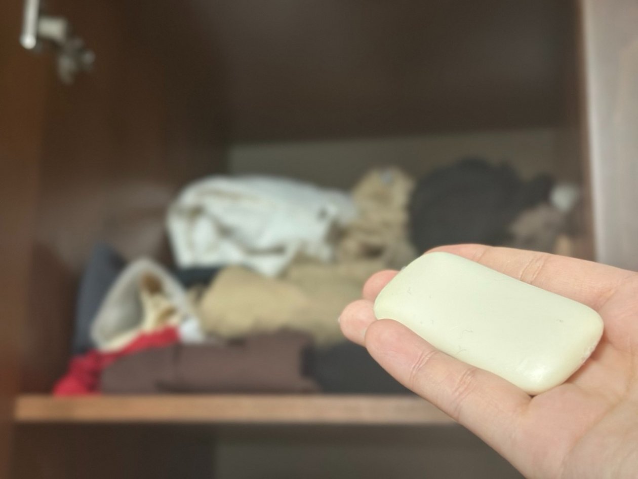 Секрет элитных отелей: зачем горничные кладут обычное мыло в шкаф с одеждой ИА Stavropol.Media