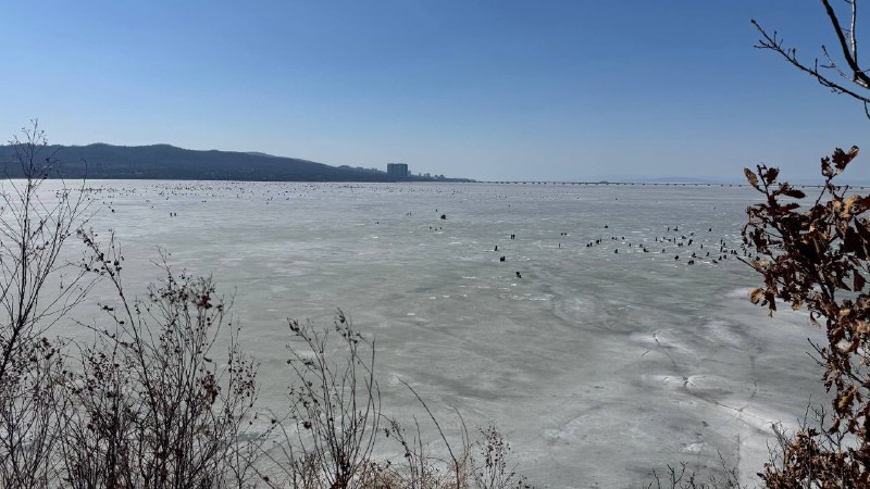Пятые сутки идут поиски исчезнувшего рыбака во Владивостоке ТГ-канал ПРОО &quotПримПоиск&quot