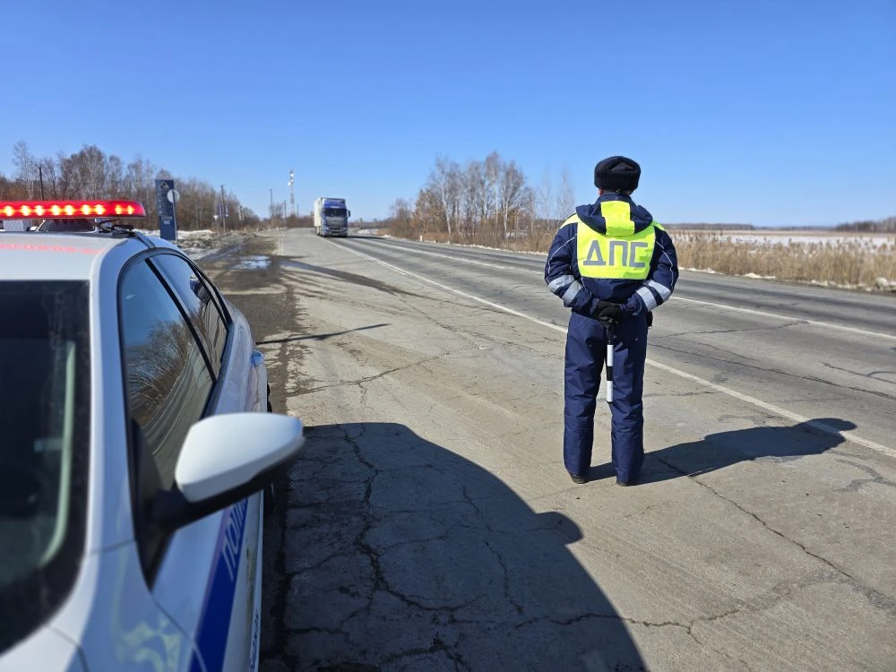 Тематическое фото пресс-служба УМВД ЕАО