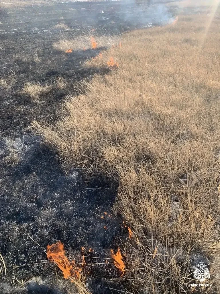 В Бурятии зафиксировали первый пал травы в сезоне МЧС по Бурятии