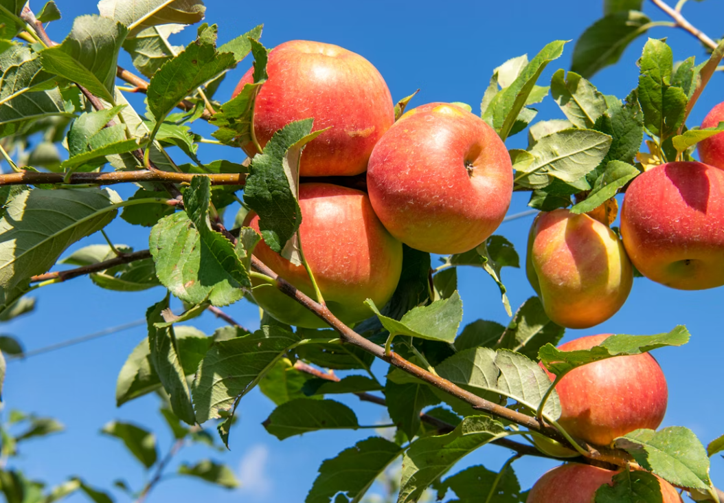 Тематическое фото Unsplash.com (18+)