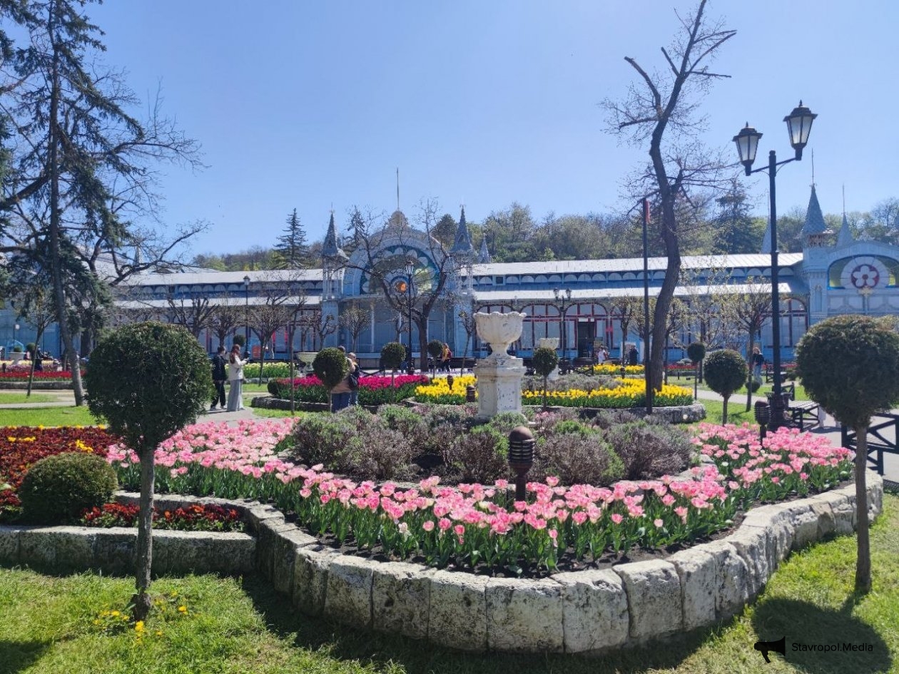  Елена Гиневская, ИА Stavropol.Media