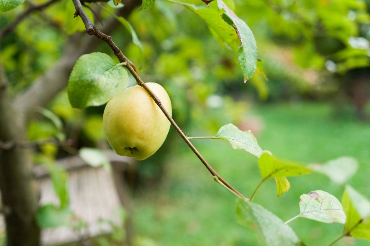 Тематическое фото unsplash.com