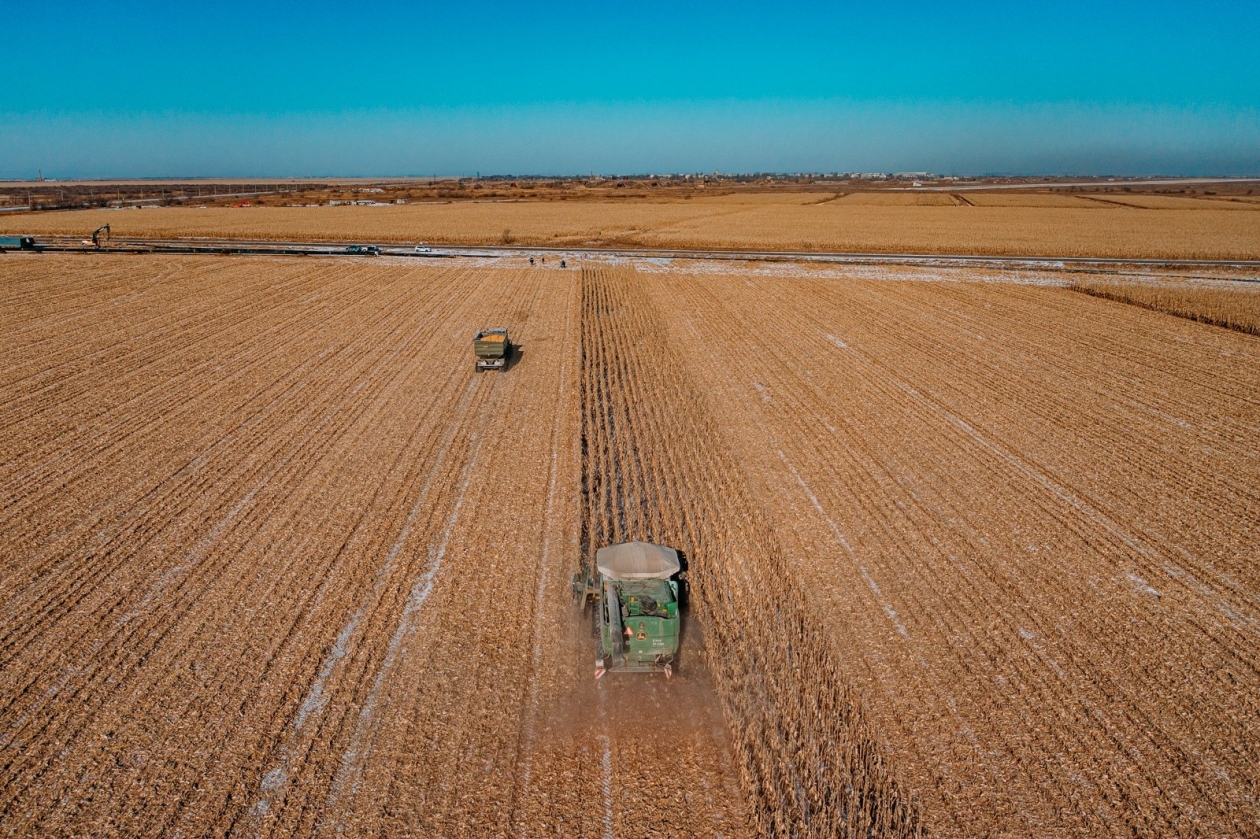 Устранить пробел в законе о сельхозземлях потребовали от властей Ставрополья Мария Смитюк, ИА PrimaMedia.ru