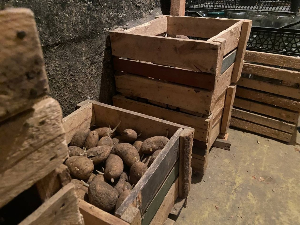 Ведро в угол - и в погребе сухо, как в Сахаре: без плесени, влажности и гнилья всю весну ИА KrasnodarMedia