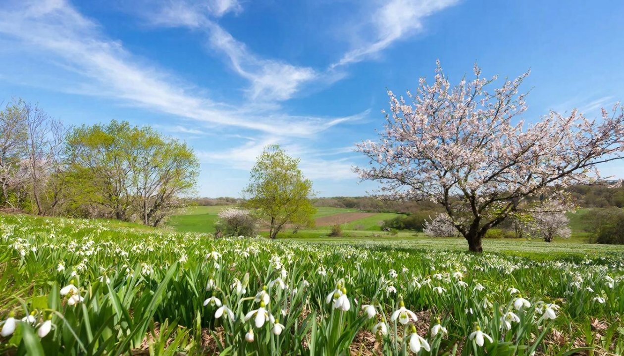 Каждый школьник СССР знал эти 7 весенних пословиц, а вы? - ТЕСТ ИИ Kandinsky (18+)